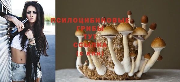 первитин Алзамай
