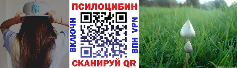shop состав  MEGA ССЫЛКА  Абакан  Галлюциногенные грибы ЛСД 