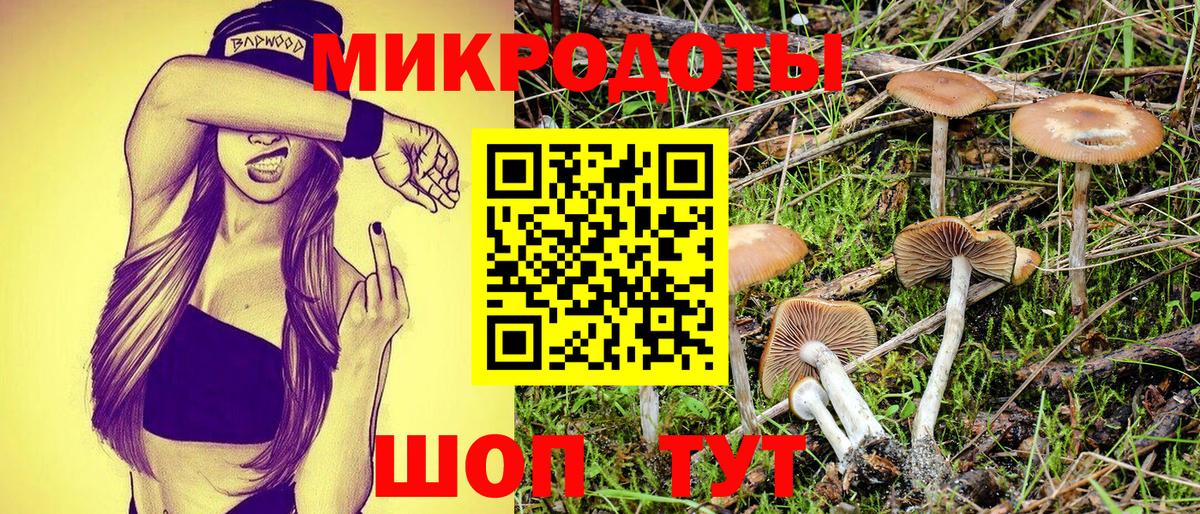 Псилоцибиновые грибы ЛСД Абакан