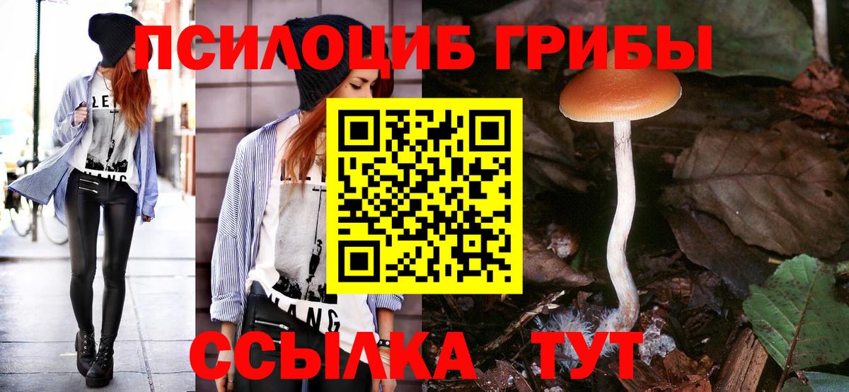 Абакан  Галлюциногенные грибы Cubensis  где купить наркотик  Псилоцибиновые грибы мицелий  Вход с VPN 