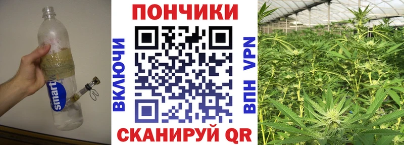 Шишки марихуана AK-47 Абакан