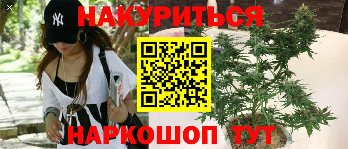 Каннабис ГИДРОПОН Абакан